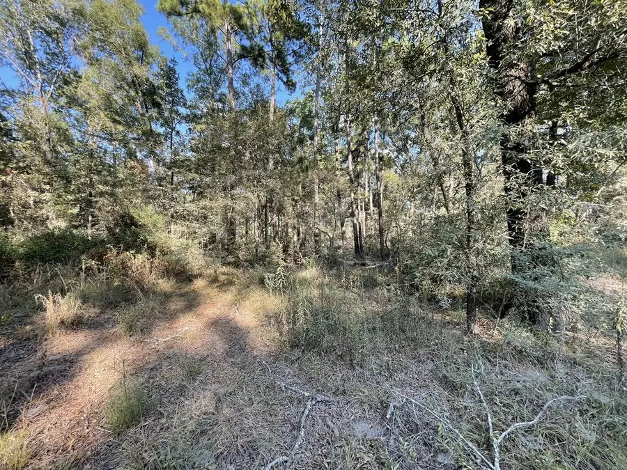136 Forest Crest, Livingston, TX 77351 - #3