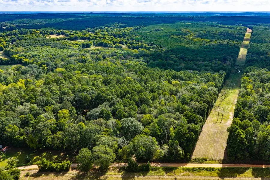 1723 Cr 425, Chireno, TX 75937 - #3