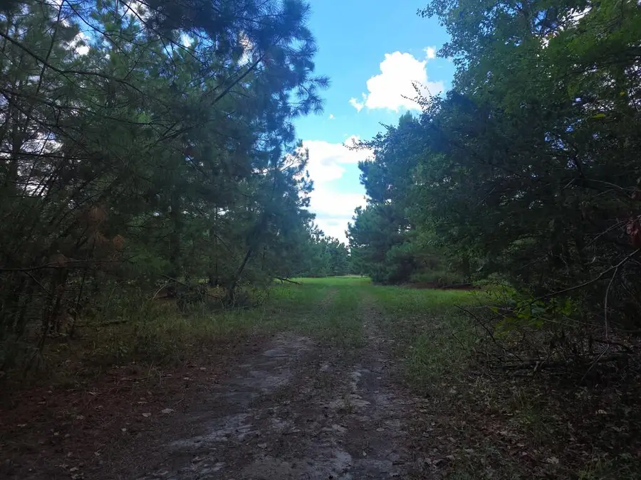 322 Judkins Lane, Cushing, TX 75760 - #2