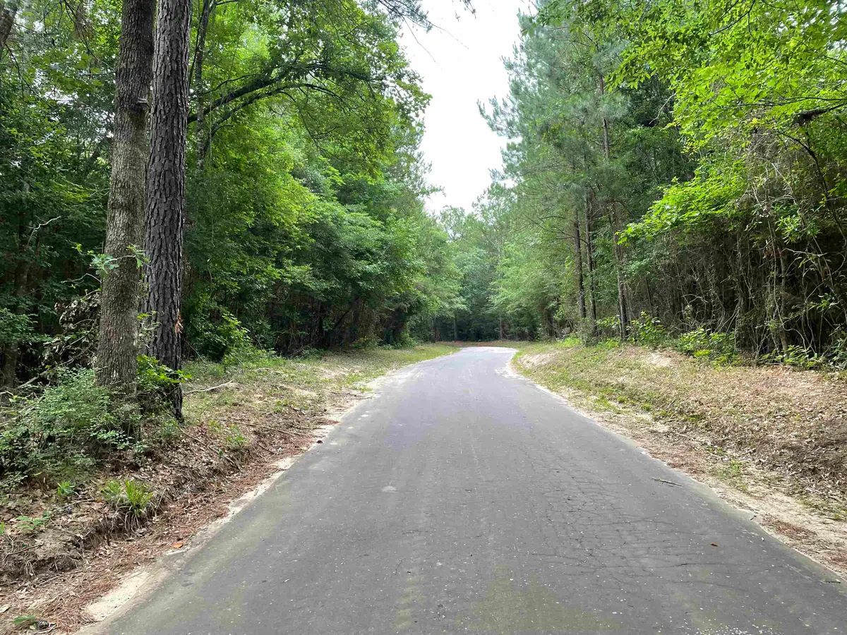 R008027 County Road 20, Jasper, TX 75951 - #1