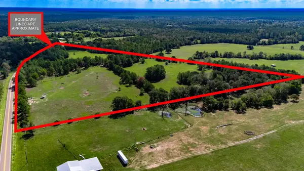12040 Fm 2501, Apple Springs, TX 75926