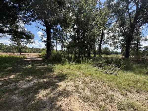 1575 Highway 96 S, San Augustine, TX 75972