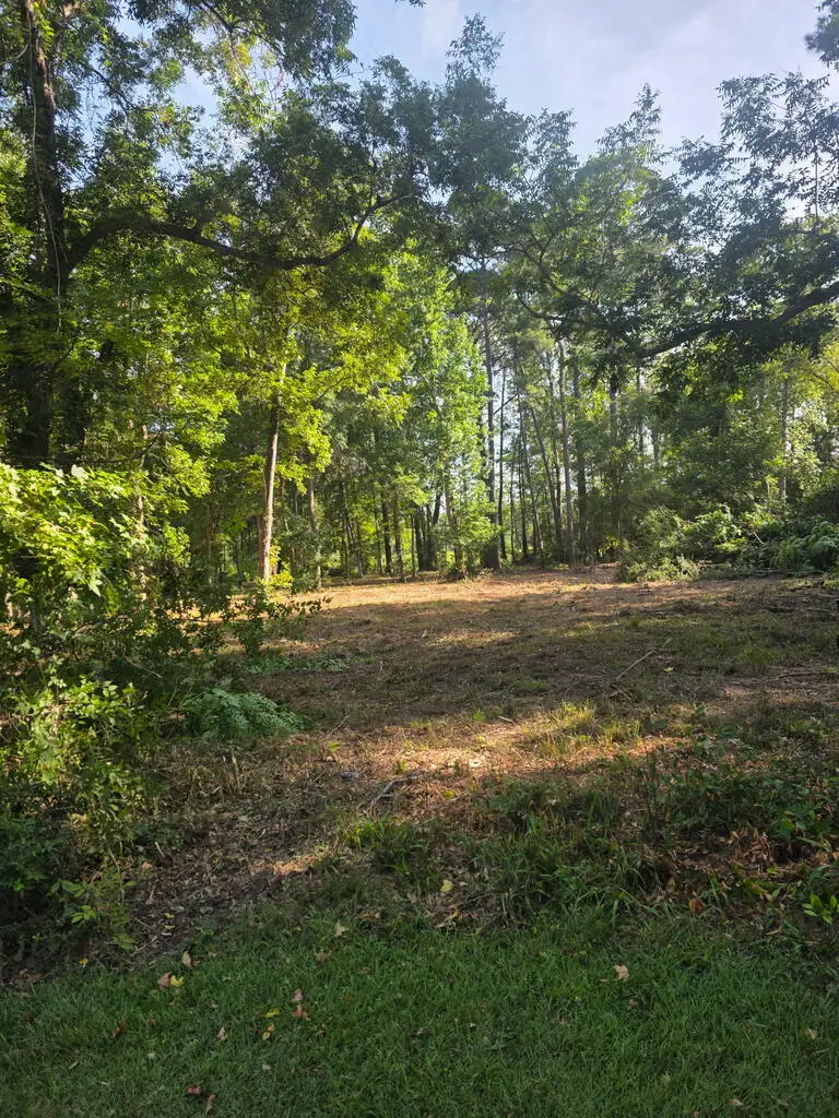 PID #6031801 Lakeland Circle, Hemphill, TX 75948 - #2
