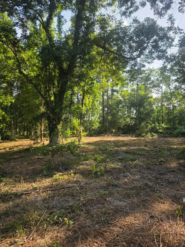 PID #6031801 Lakeland Circle, Hemphill, TX 75948 - #3