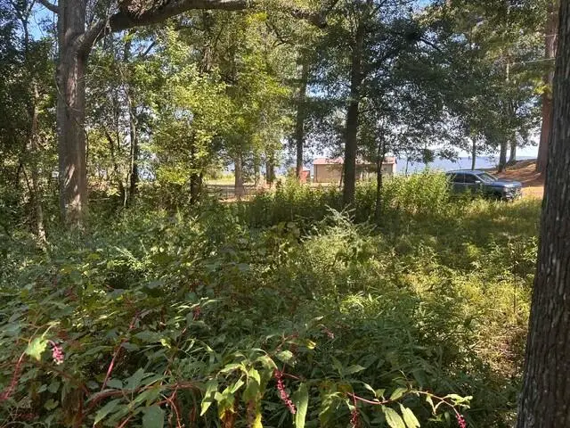 1040 County Road 2650, Shelbyville, TX 75973 - #3