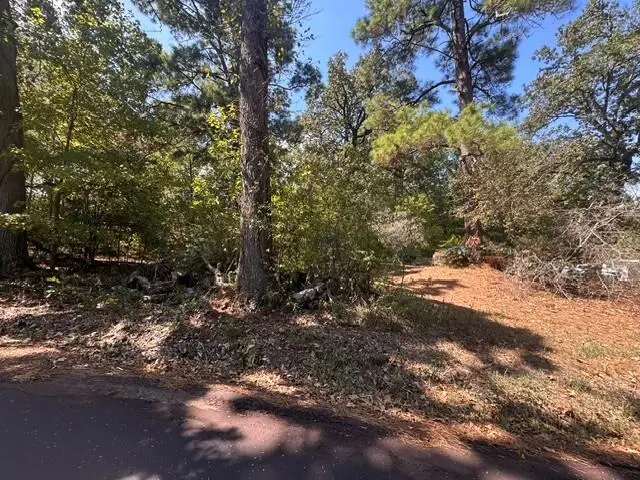 1144 County Road 2650, Shelbyville, TX 75973 - #1
