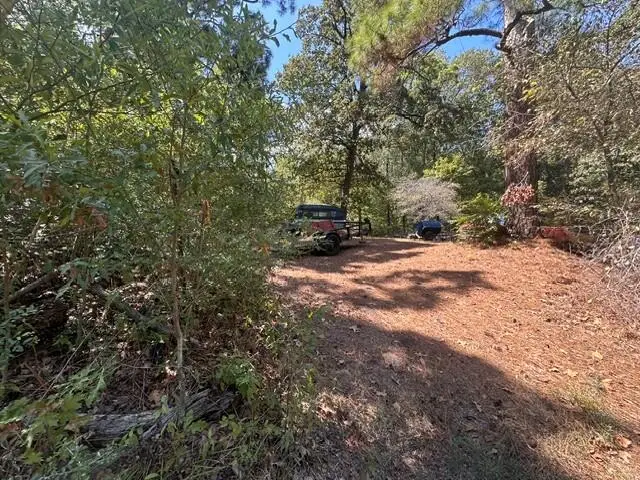 1144 County Road 2650, Shelbyville, TX 75973 - #3
