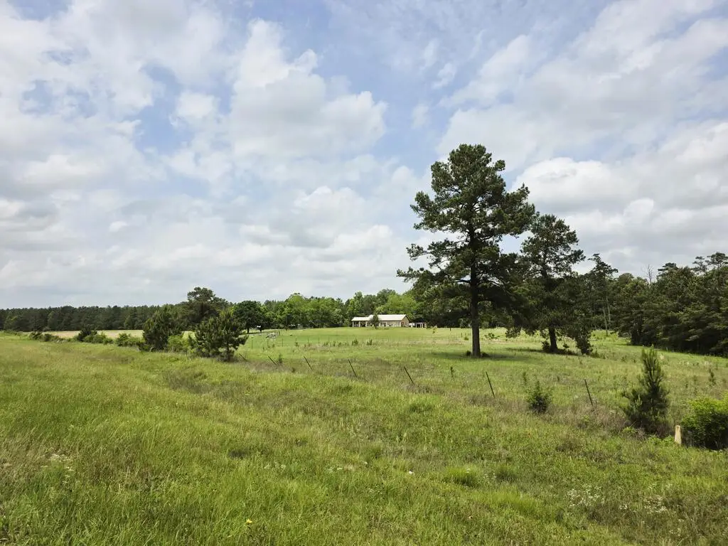 321 Private Road 6077, Newton, TX 75966 - #1