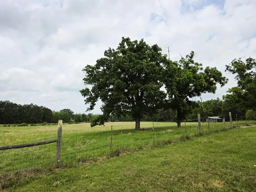 321 Private Road 6077, Newton, TX 75966 - #3