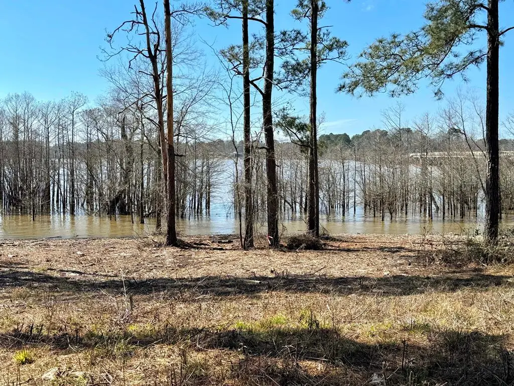 Lot 003 Fm 83, Broaddus, TX 75929 - #1