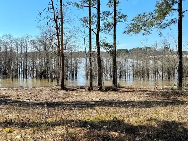 Lot 003 Fm 83, Broaddus, TX 75929