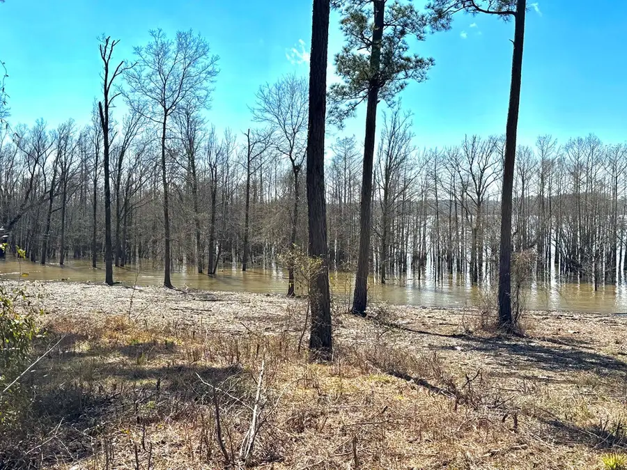 Lot 003 Fm 83, Broaddus, TX 75929 - #3