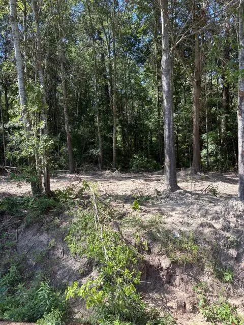 R160512 Broussard Avenue, Lufkin, TX 75901 - #1