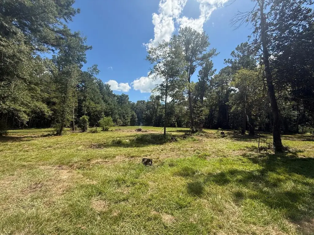 1791 Houston Street, Jasper, TX 75951 - #1
