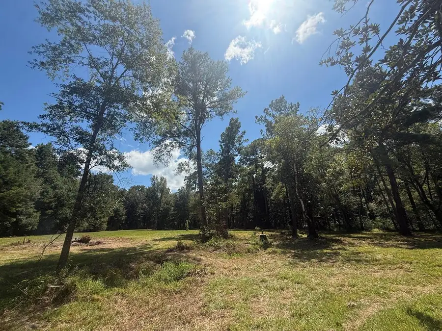 1791 Houston Street, Jasper, TX 75951 - #2