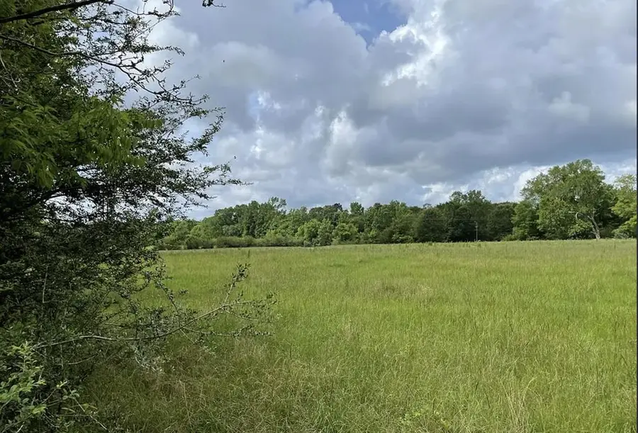 1135 Cr 419, Nacogdoches, TX 75961 - #2