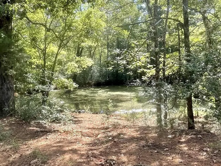 1135 Cr 419, Nacogdoches, TX 75961 - #3