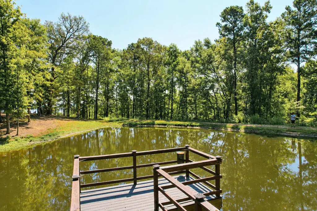 1701 Cr 489, Etoile, TX 75944 - #1