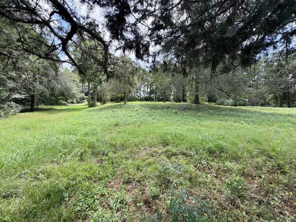2049 Us Hwy 190 West, Woodville, TX 75979 - #1
