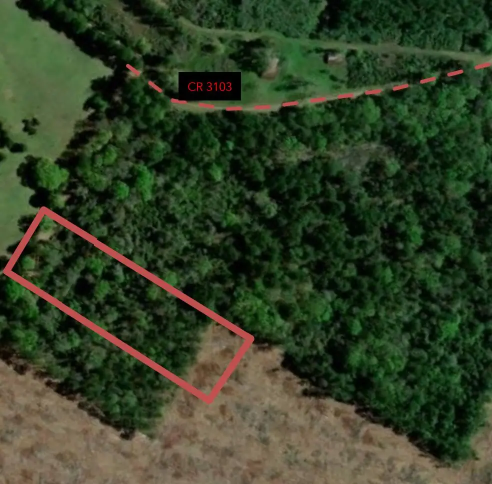 3.50 AC County Road 3103, Call, TX 75933 - #1