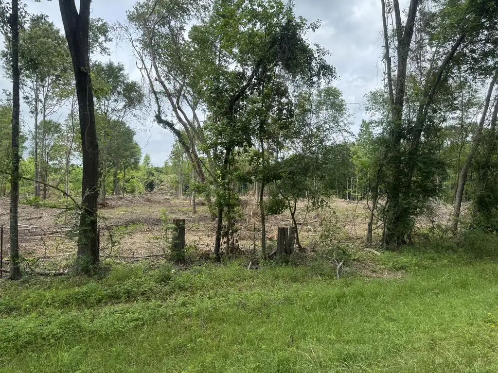 13900 West Highway 103, Pollok, TX 75969 - #1