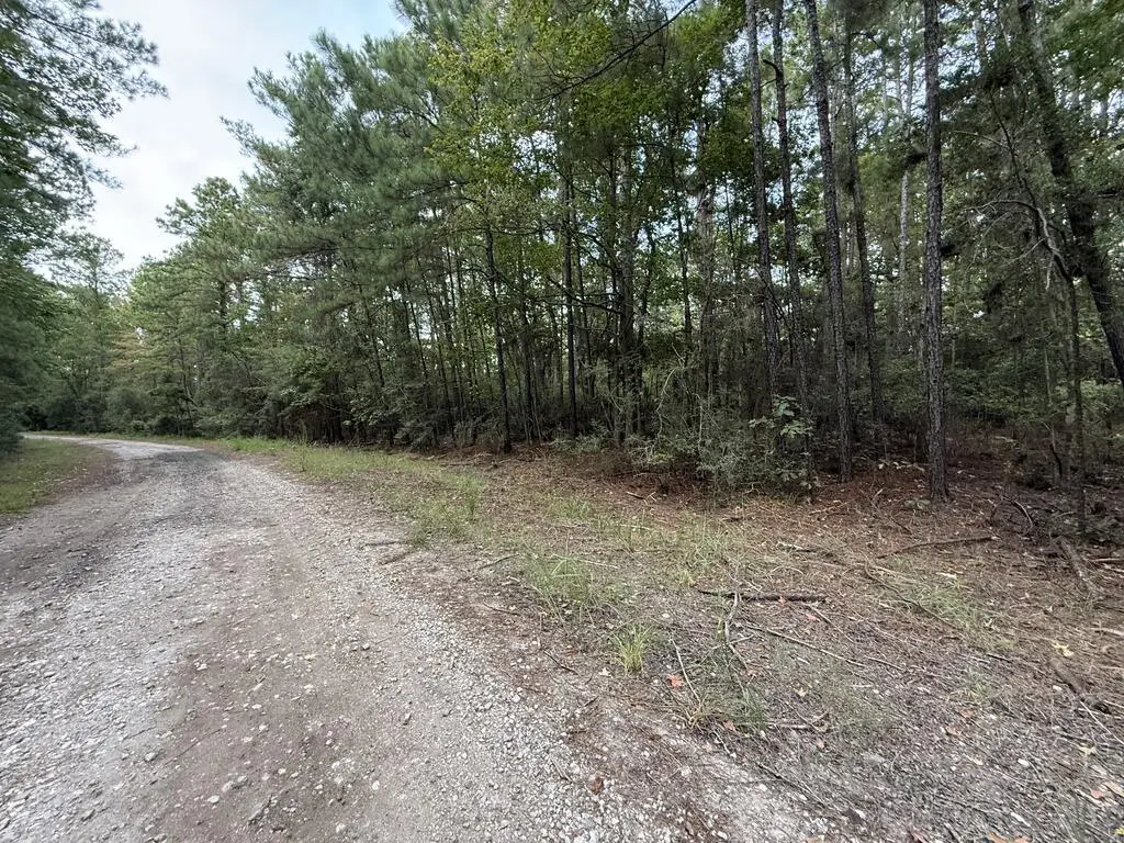 249 Senita Drive, Brookeland, TX 75931 - #1