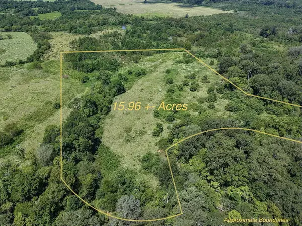 Tract Four County Road 765, Douglass, TX 75964