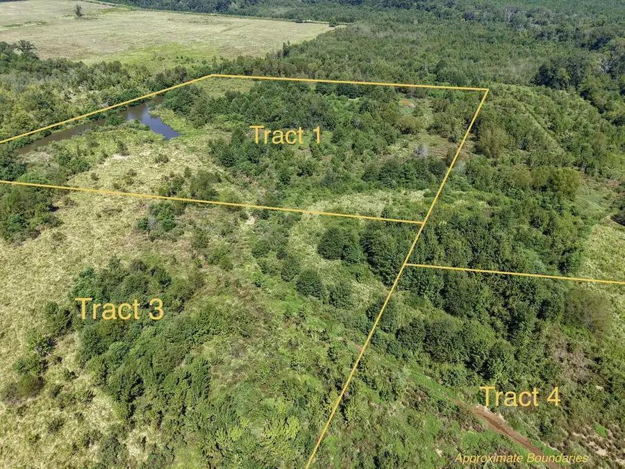 Tracts 1, 3, 4 County Road 765, Douglass, TX 75964 - #2