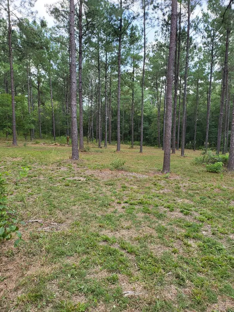 373312 Cr 3160, Colmesneil, TX 75938 - #2