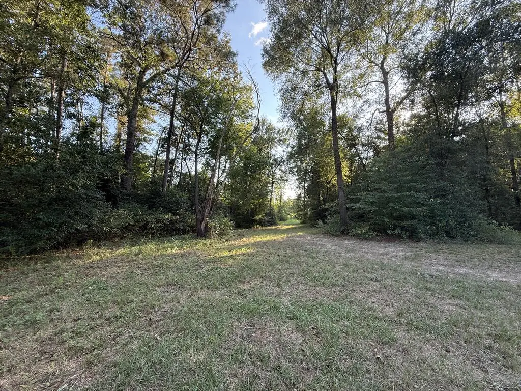 745 County Road 534, Kirbyville, TX 75958 - #1