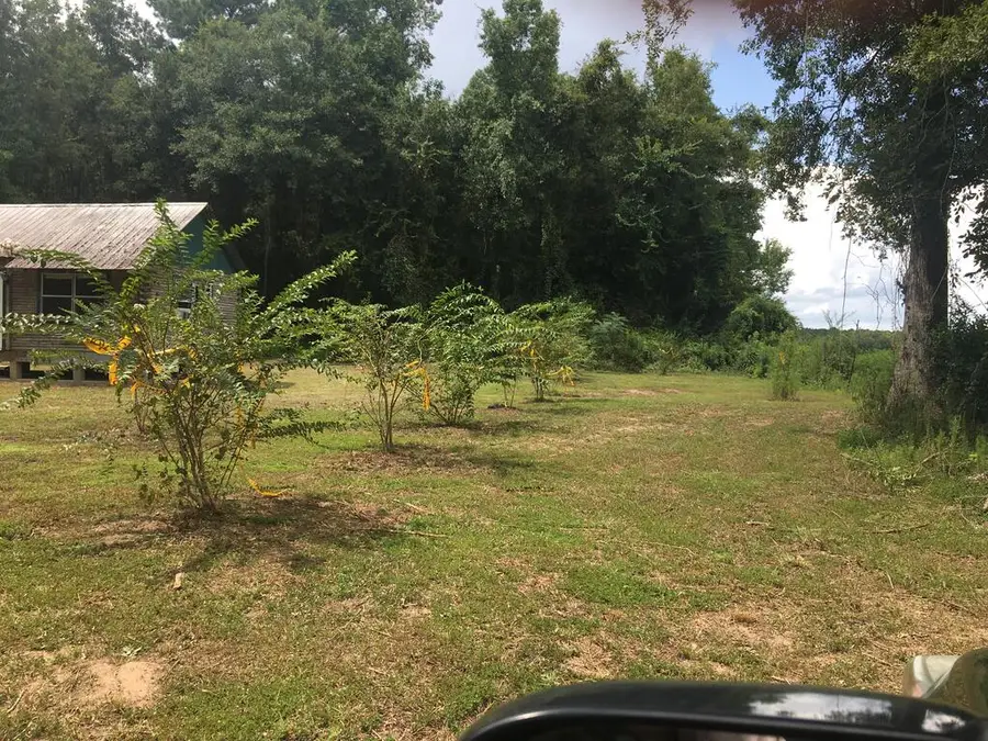 745 County Road 534, Kirbyville, TX 75958 - #2