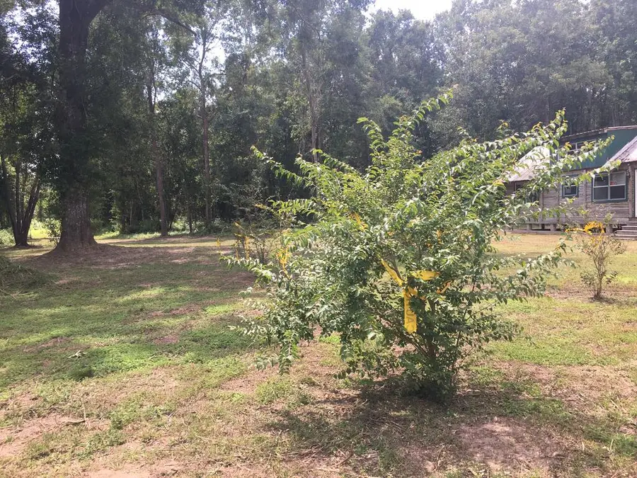 745 County Road 534, Kirbyville, TX 75958 - #3