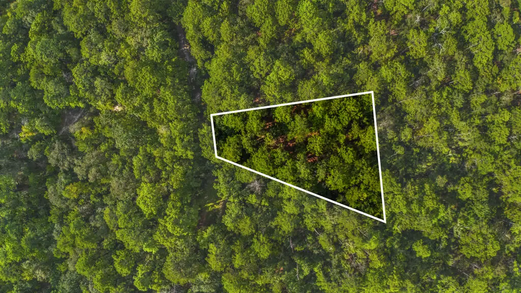 Lot 196 Sassafras, Brookeland, TX 75931 - #1