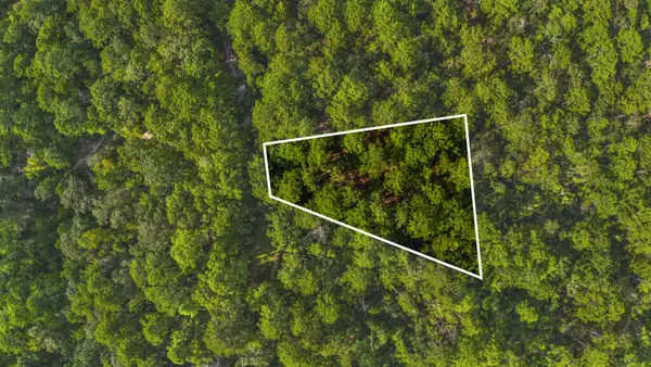 Lot 196 Sassafras, Brookeland, TX 75931
