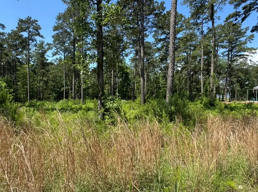LOT 1-17 Private Rd 6028, Brookeland, TX 75931 - #2