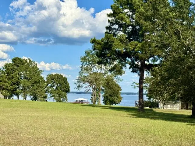 14 Sunburst Ln, Hemphill, TX 75948 - #1