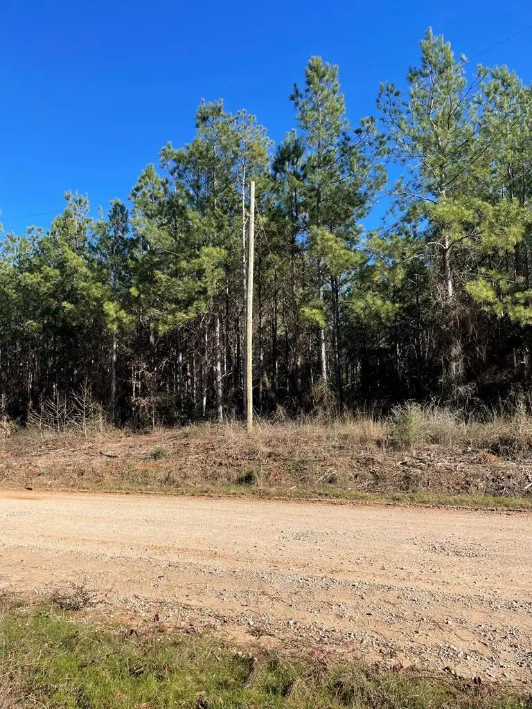1870 County Road 546, Nacogdoches, TX 75961 - #2