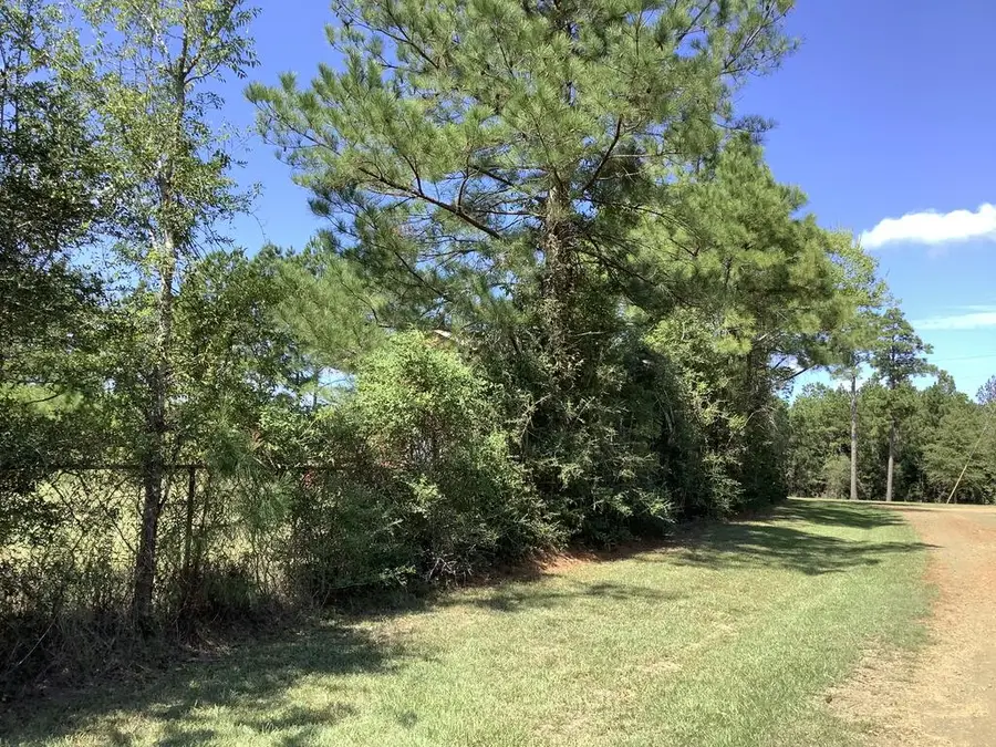 145 Cr 043, Jasper, TX 75951 - #3
