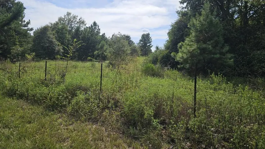 19350 BLK County Road 3233, Cushing, TX 75760 - #2
