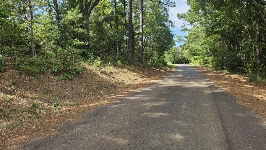19350 BLK County Road 3233, Cushing, TX 75760 - #3