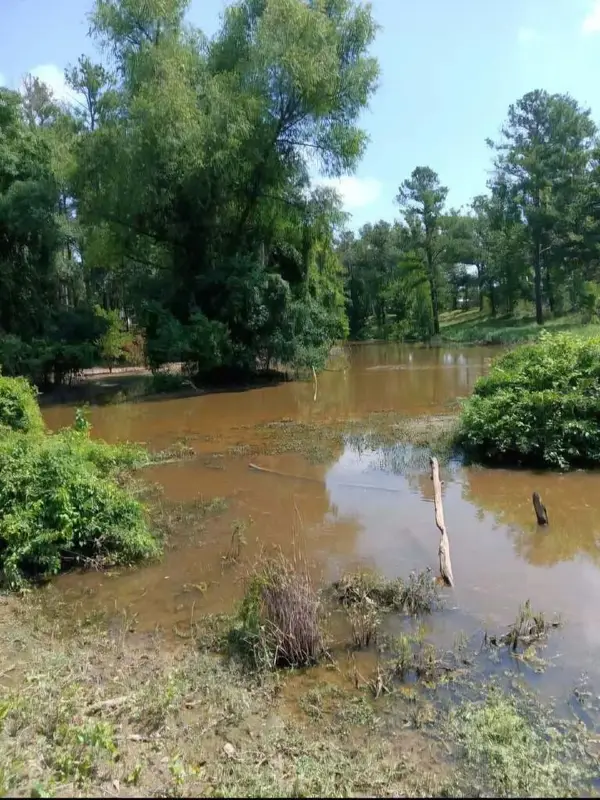 909 Whooping Crane Road, Shelbyville, TX 75973