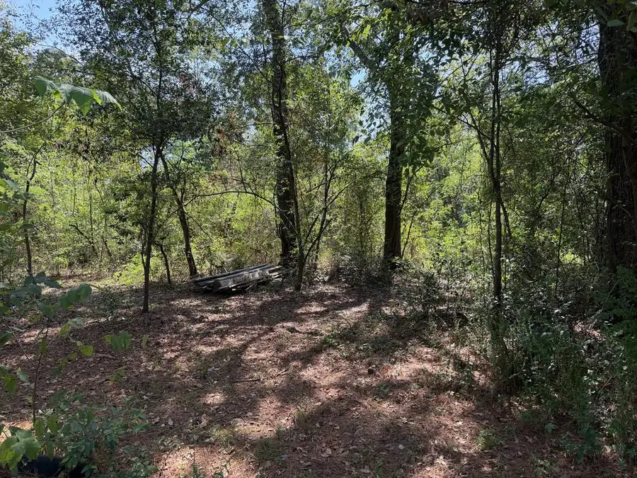 R110278 (Lot 8) Calvin, Lufkin, TX 75904 - #3