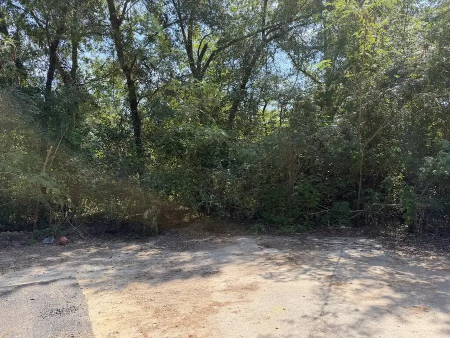 R110278 (Lot 7) Calvin, Lufkin, TX 75904 - #2