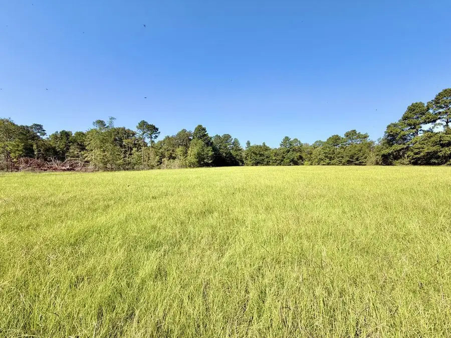 375 Shaw Street, Diboll, TX 75941 - #2