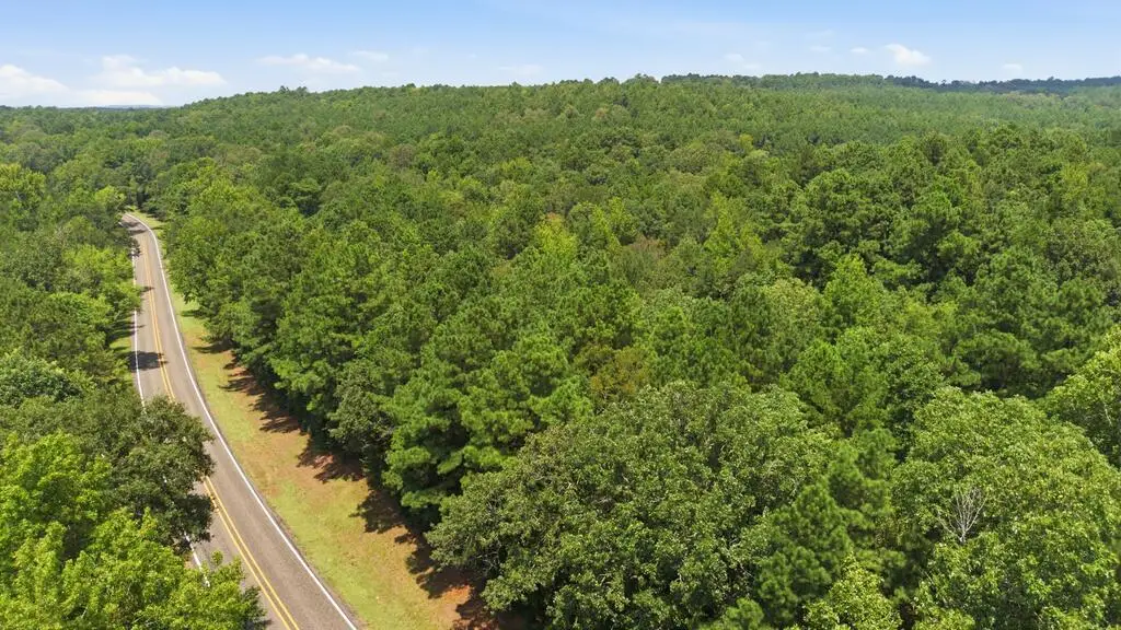 PID R000044921 Sh 21 W, San Augustine, TX 75972 - #1