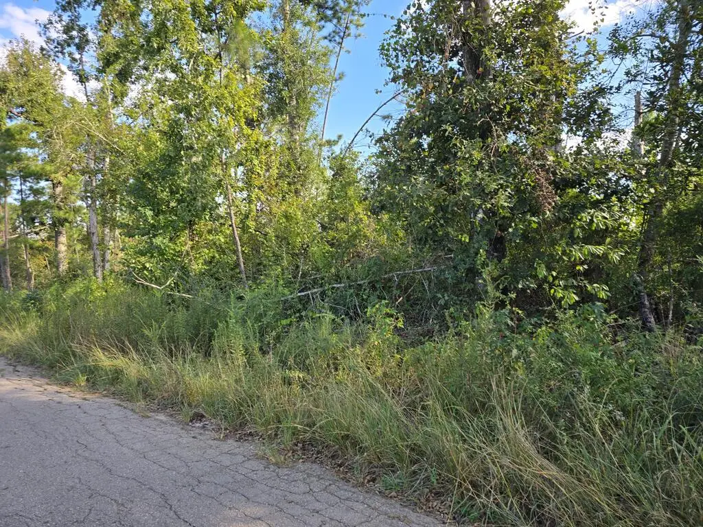 150 County Road 358, Jasper, TX 75951 - #1