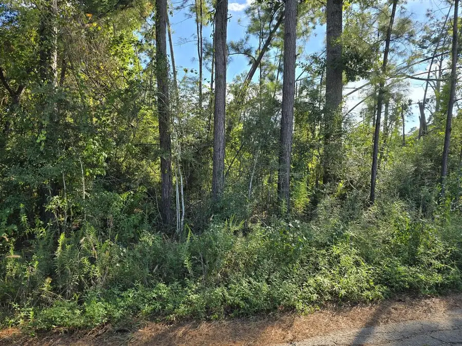 150 County Road 358, Jasper, TX 75951 - #2