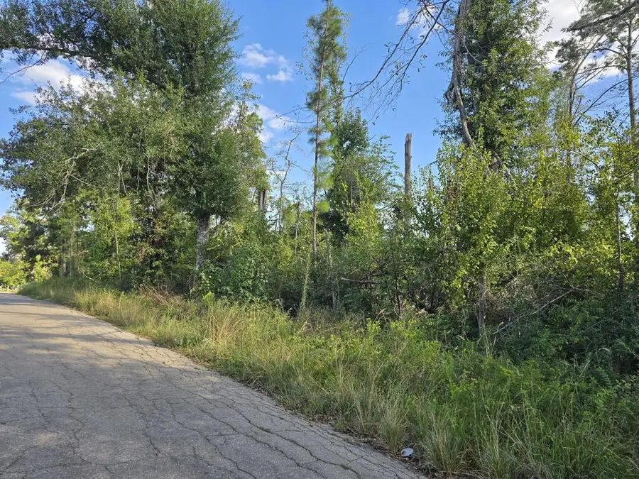 150 County Road 358, Jasper, TX 75951 - #3