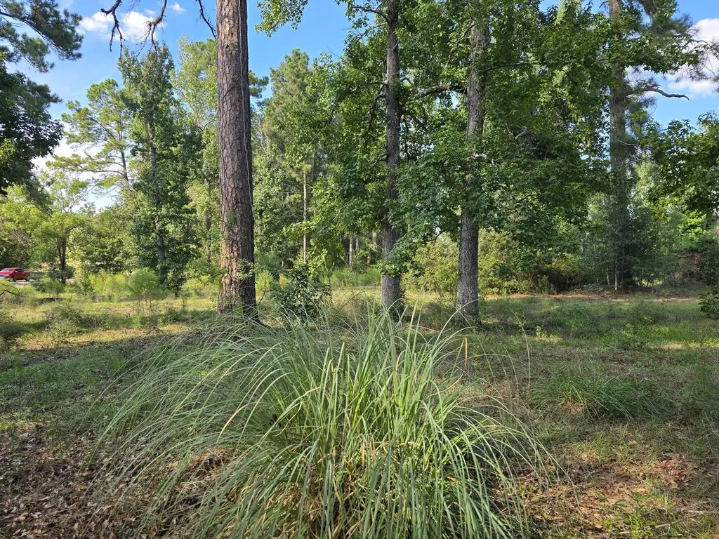 2189 Fm 252, Jasper, TX 75951 - #1