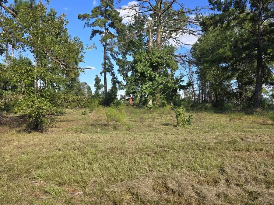 2189 Fm 252, Jasper, TX 75951 - #2